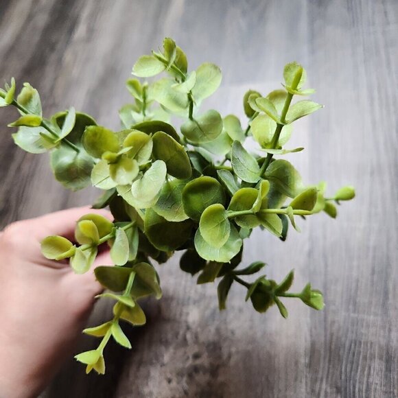 Eucalyptus Pick - Picture 2 of 3